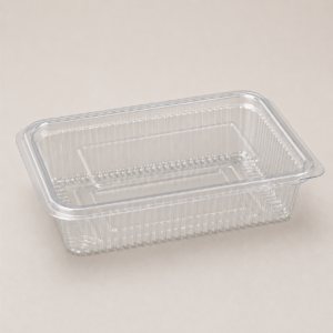 PET Hinge Box 500 ml