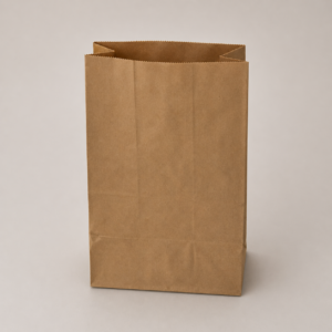 Square Bottom Paper Bag Big