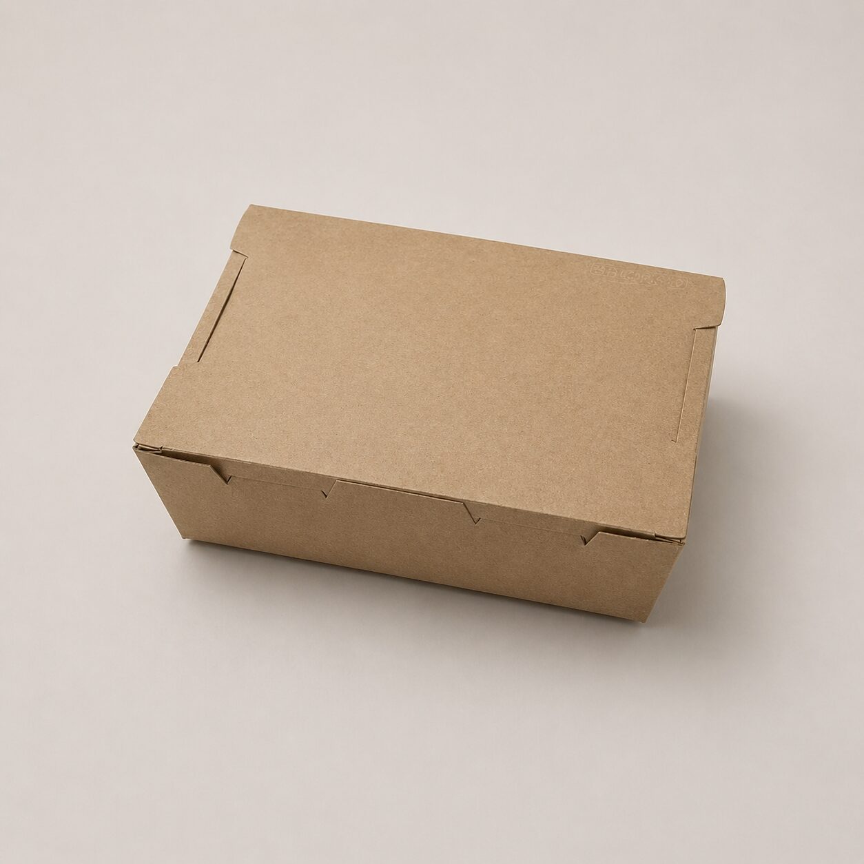 Single Flap Lunch Box 1600 ml - Image 2